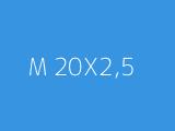 M 20X2,5 